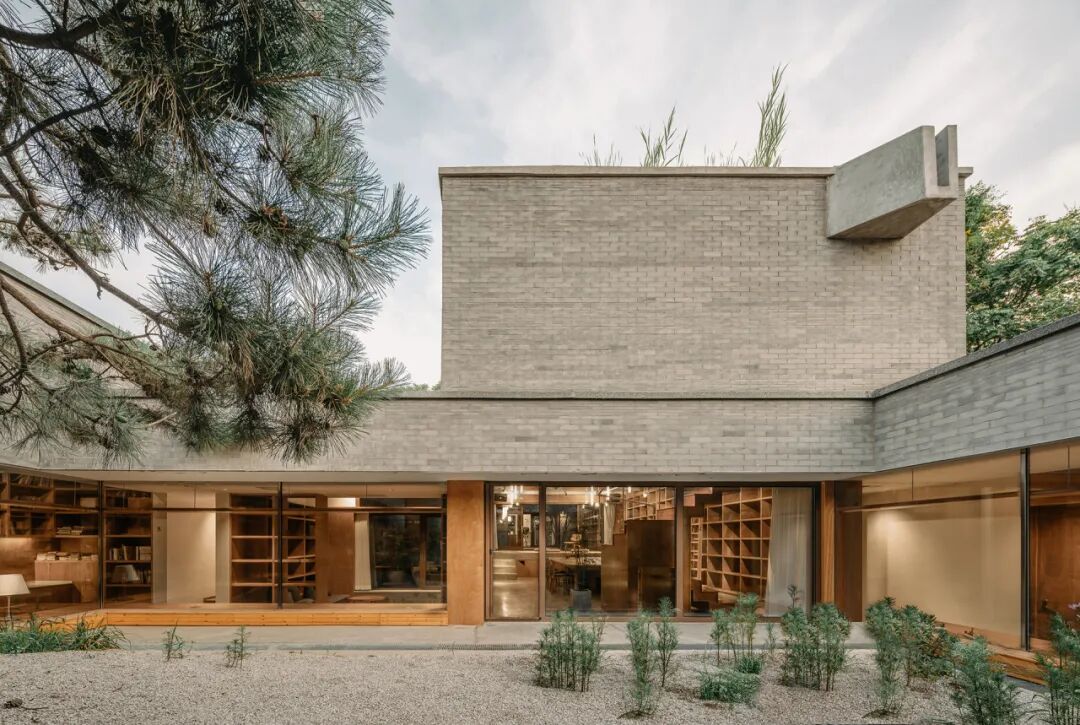 成直:我的社会价值“不参与”