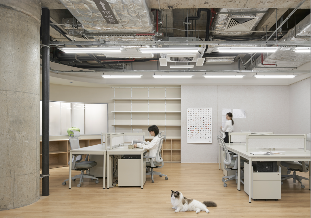 对话say architects：让设计表达更有趣有效