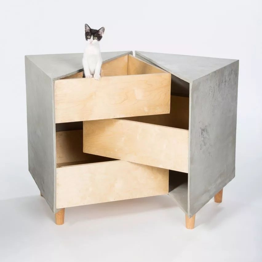 予舍予筑,建筑师,国际事务所,猫咪