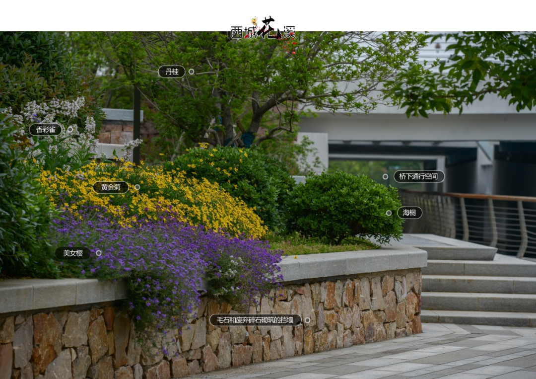 LA访谈 | 做最适合的设计&mdash;&mdash;北林地景孔宪琨副院长专访