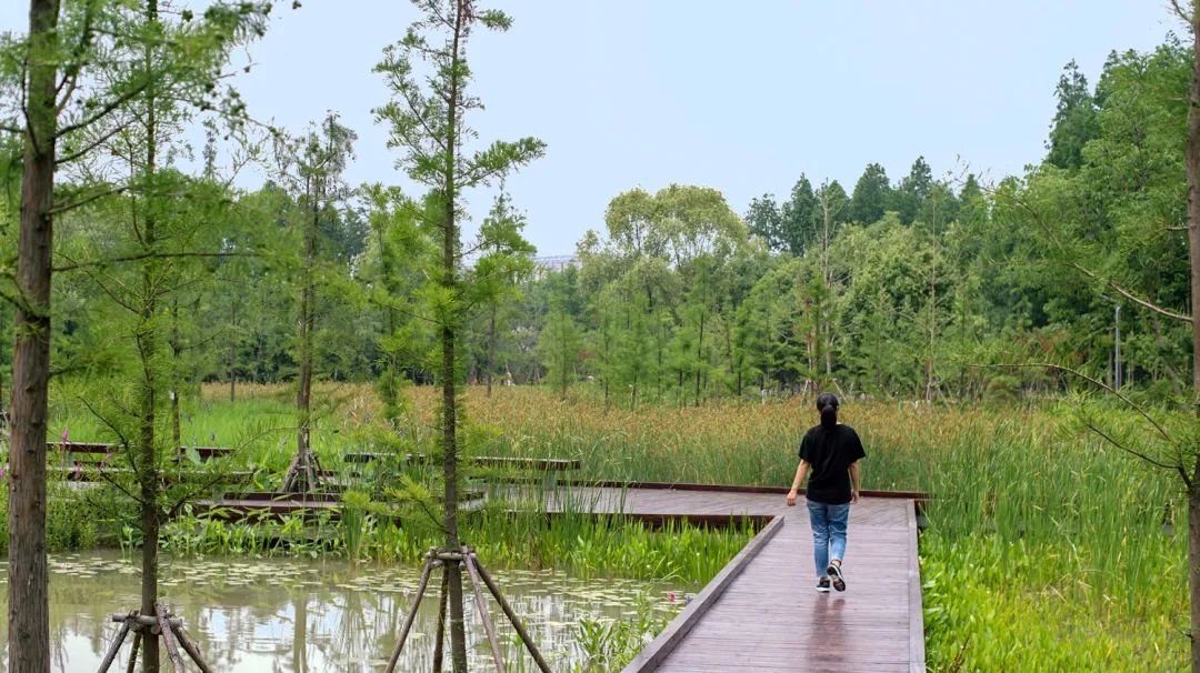 LA专集 | 万木葱翠,十里森境——森林公园规划设计探索