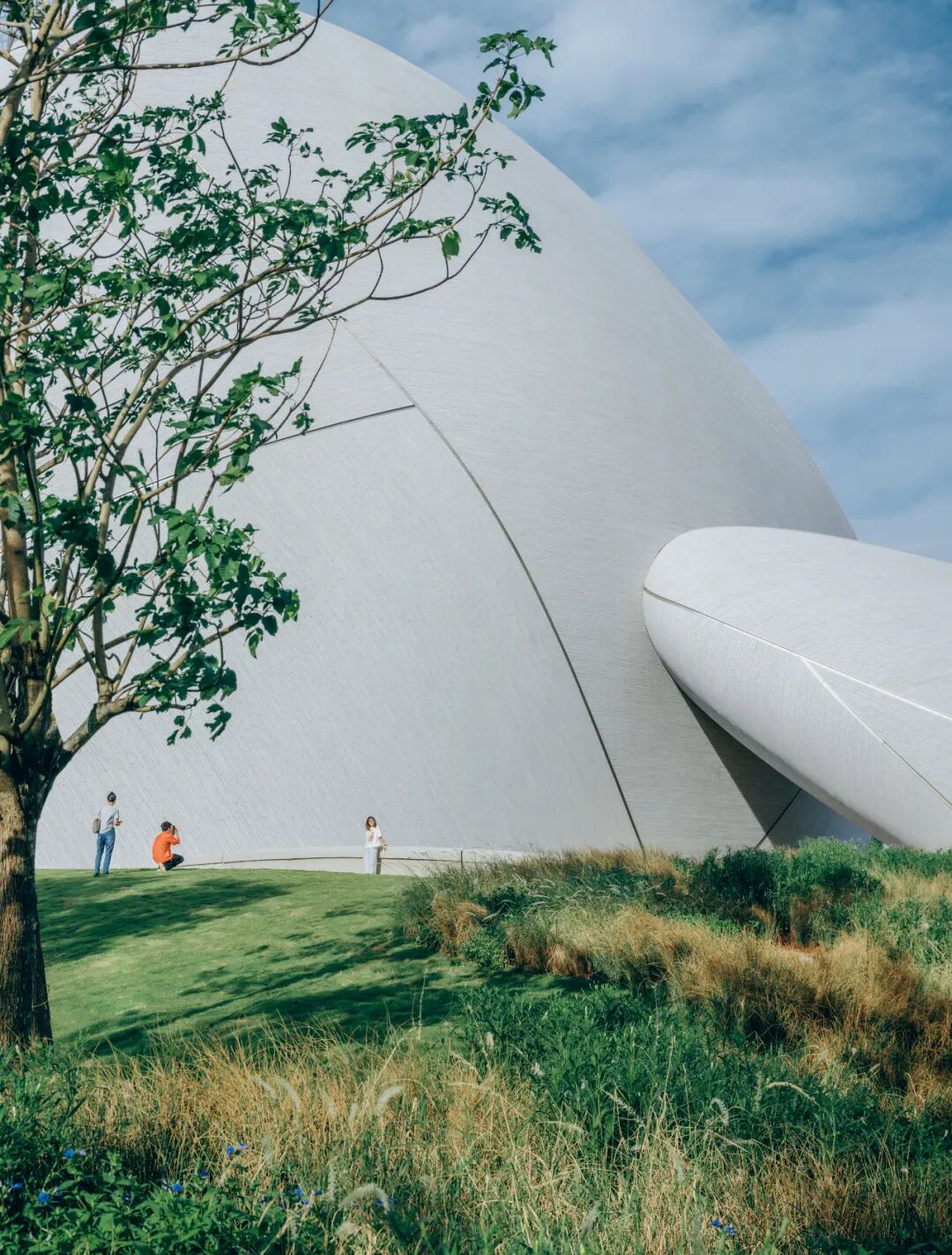 湾区新场地即将呈现丨马岩松MAD深圳湾文化广场