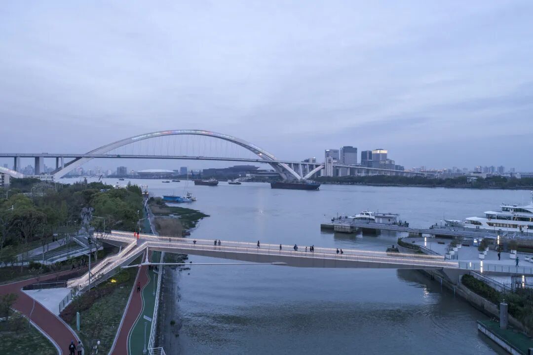【建言丨对话张准】共生结构，探索全新生态位