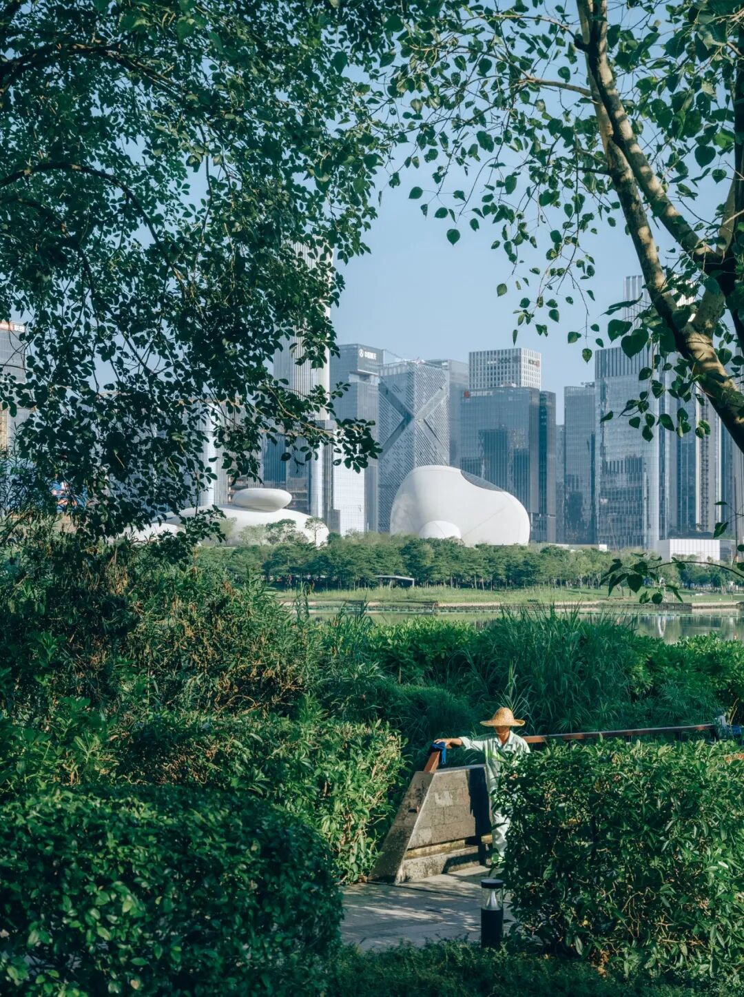 湾区新场地即将呈现丨马岩松MAD深圳湾文化广场