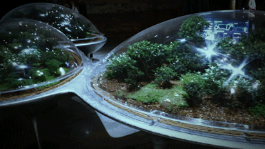 森林城市 | 马岩松MAD第19届威尼斯国际建筑双年展主展场新作