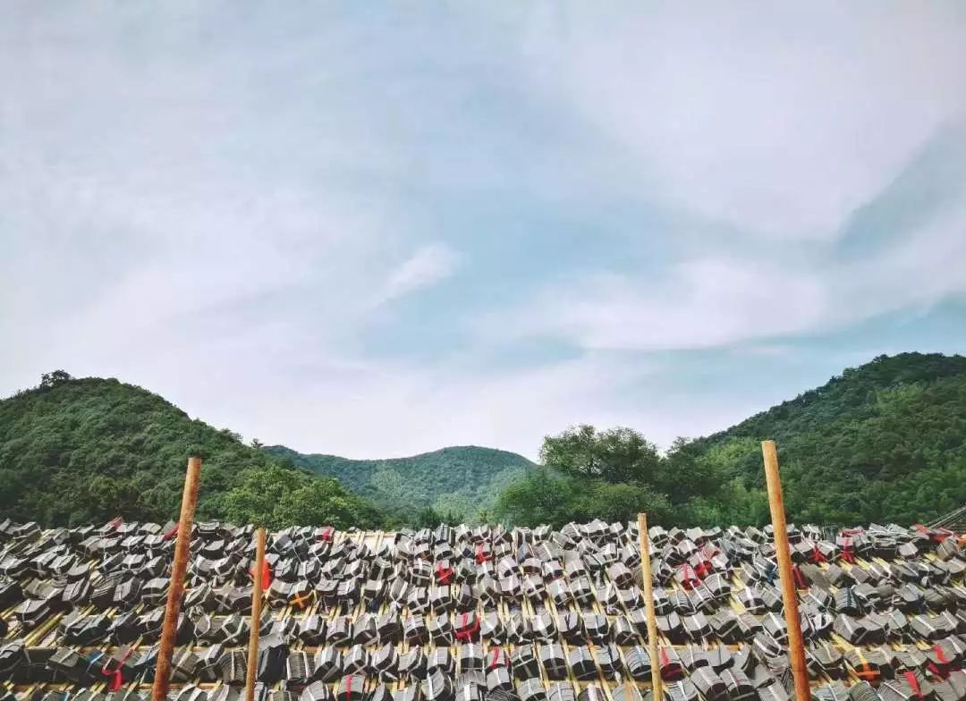 建筑,室内,景观,改造,民宿,乡村营造