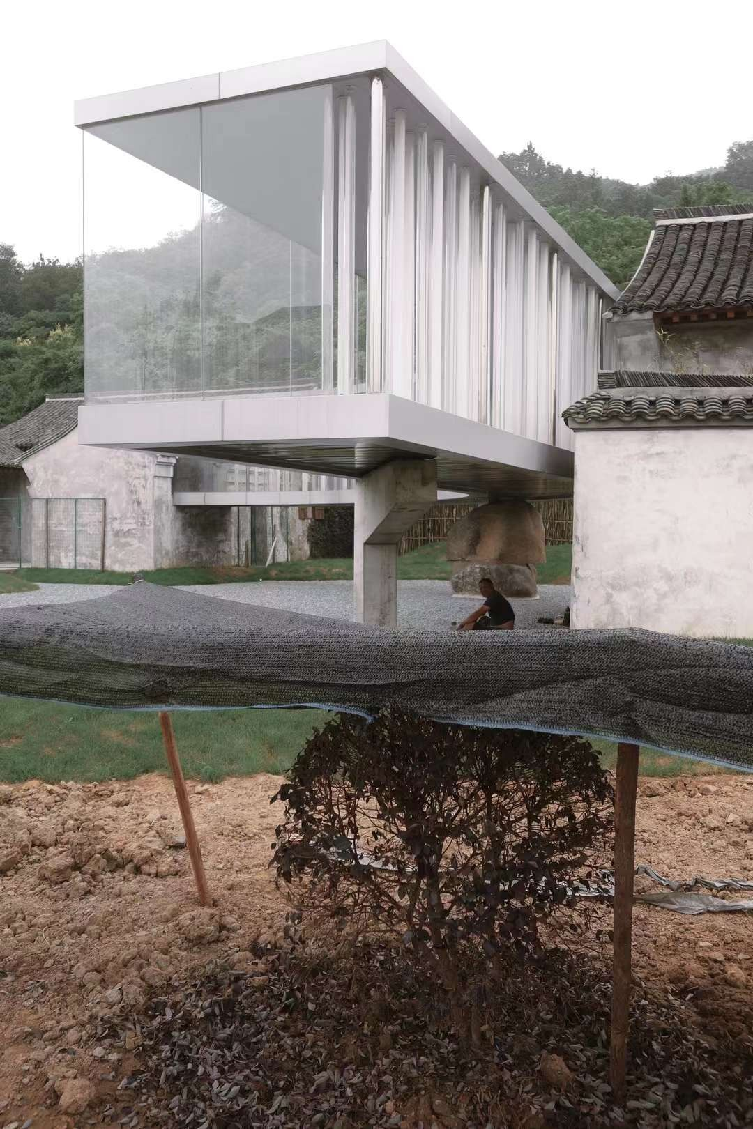 【建言丨对话张准】共生结构，探索全新生态位