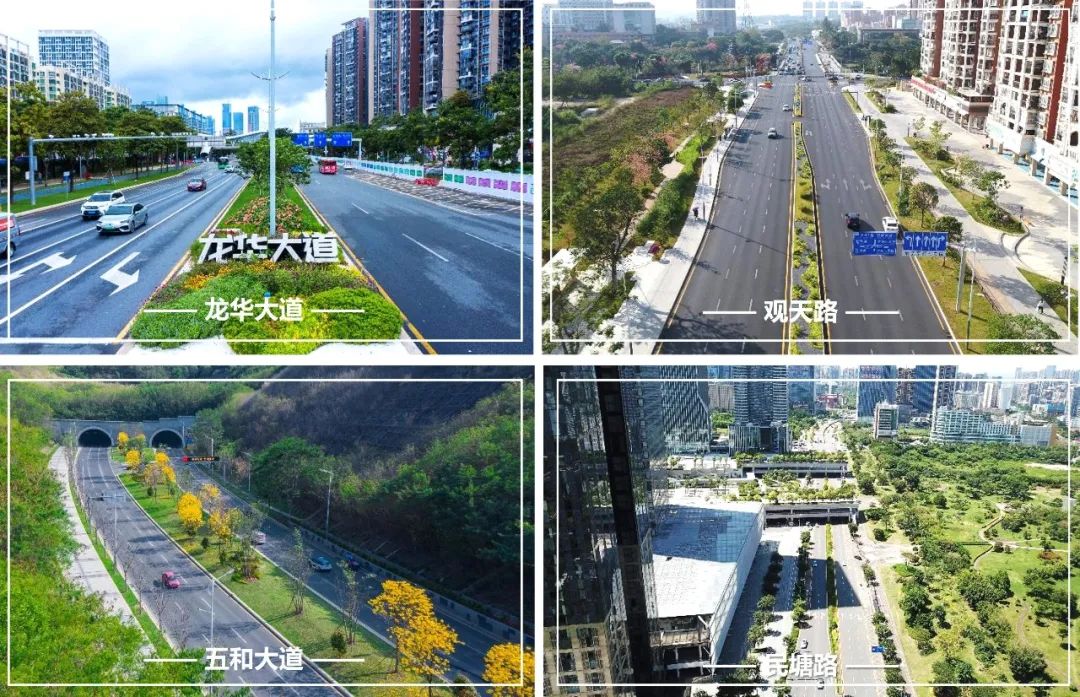 精准协助区级政府整体提升城市公共空间品质 | 蕾奥景观 | LA理事风采