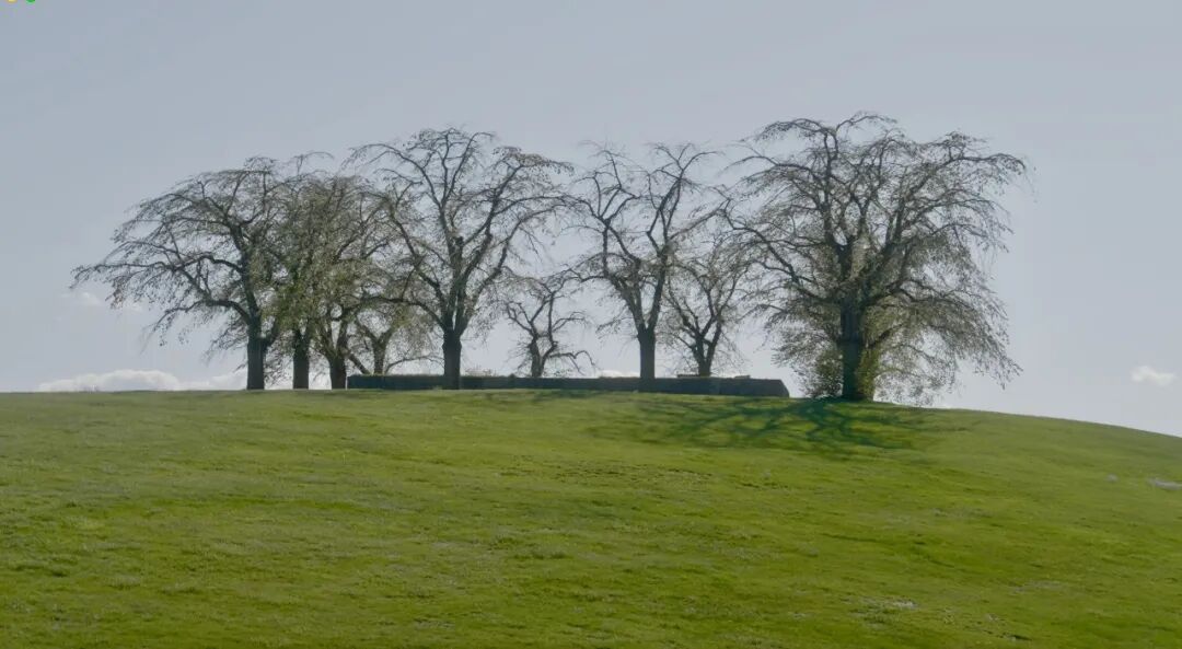 新片发布 | 张望瑞典，回归造物时代