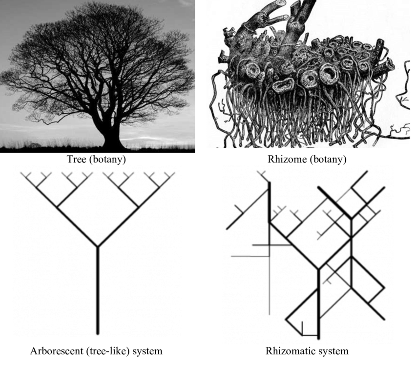 根茎对谈第二期｜我们赖以生存的城市： 王远凌，毛颖，Cyril Shing