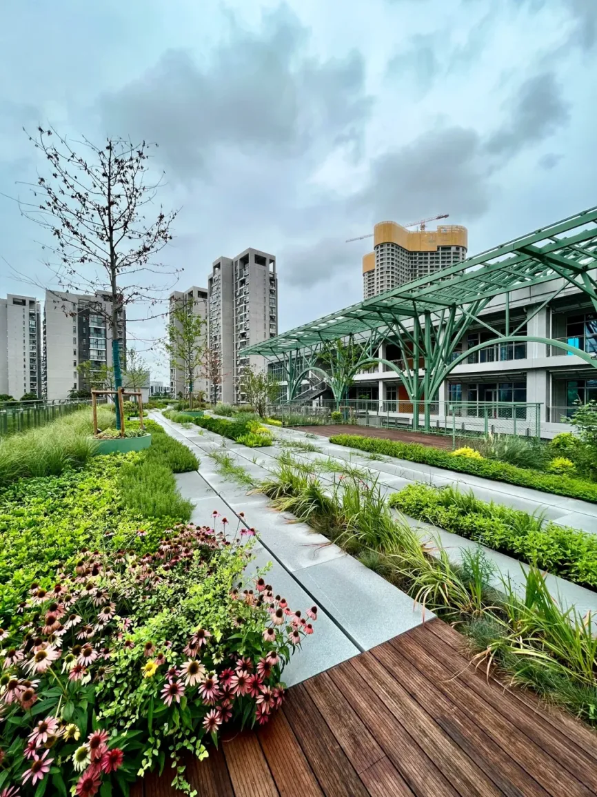 陪伴型社区商业，创造深度情感价值，以需求链接城市居民