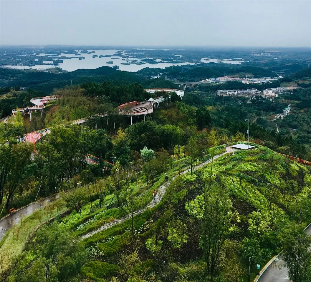 LA专集 | 万木葱翠,十里森境——森林公园规划设计探索