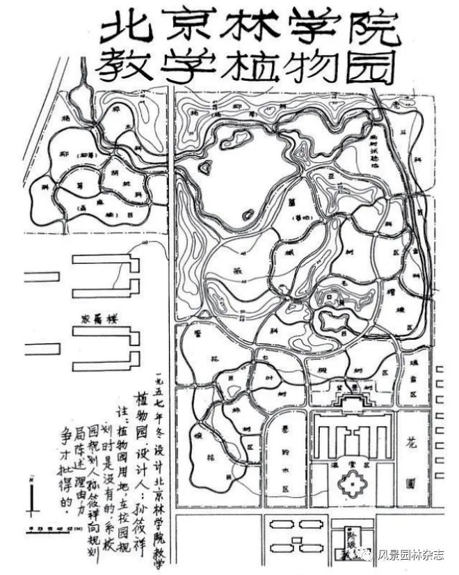 LA专题 | 朱成珞 孙朗岚 | 孙筱祥先生对当代公园和植物园建设发展的开创性、前瞻性贡献及深远国际影响（上篇）