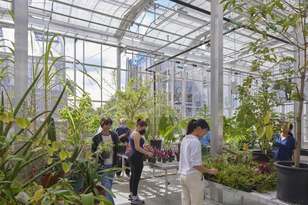 韦尔斯利学院科学综合建筑群正式启用