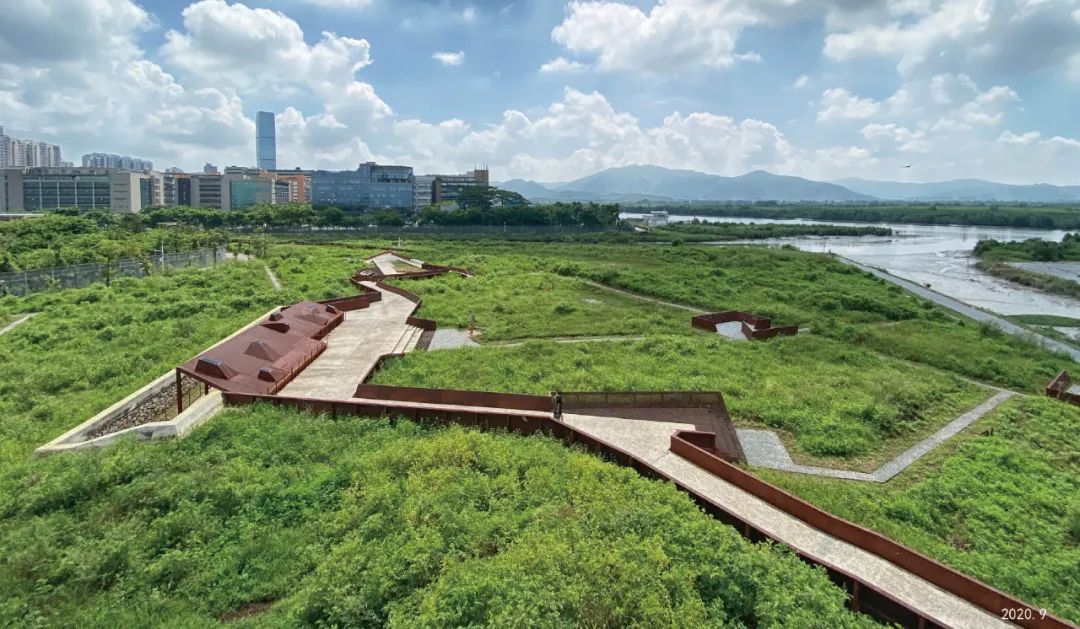 时光，植物、文化和大地