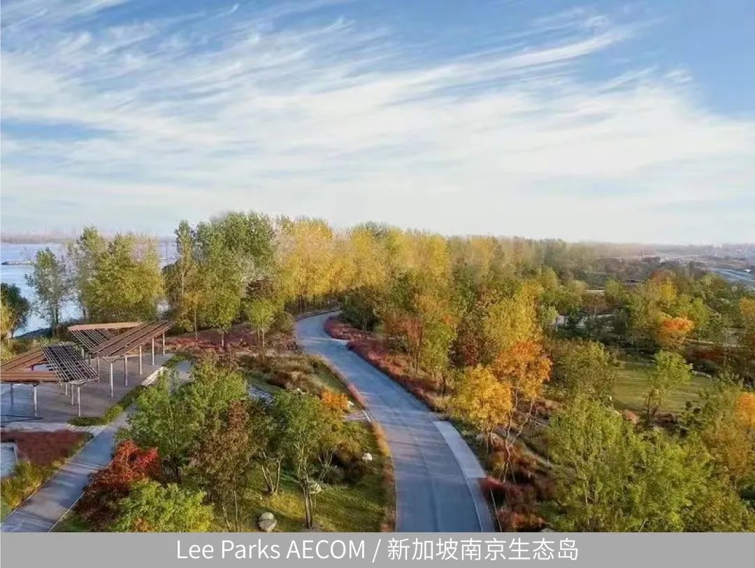 马清运、马岩松、gmp、AECOM云集西安|开启城市封面学术年!