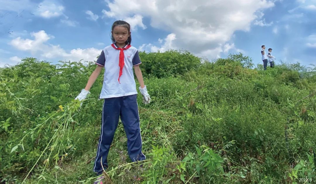 时光，植物、文化和大地