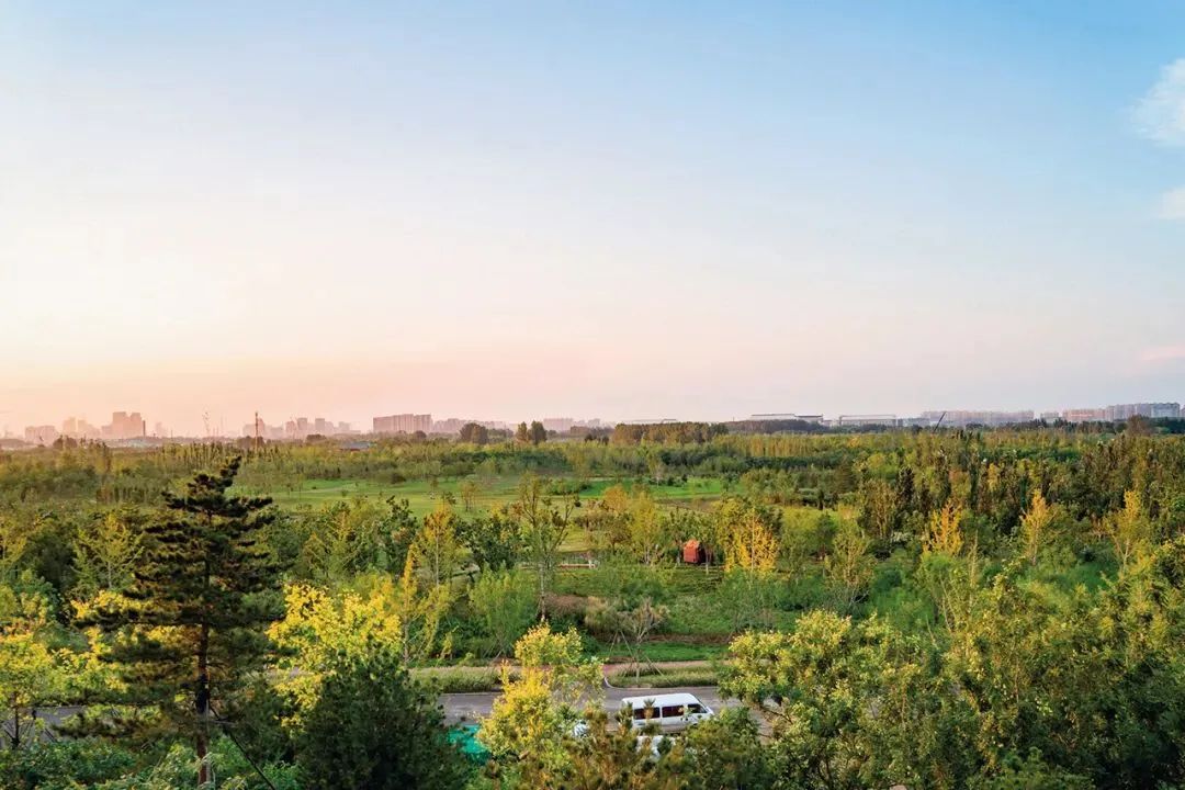 LA专集 | 万木葱翠,十里森境——森林公园规划设计探索