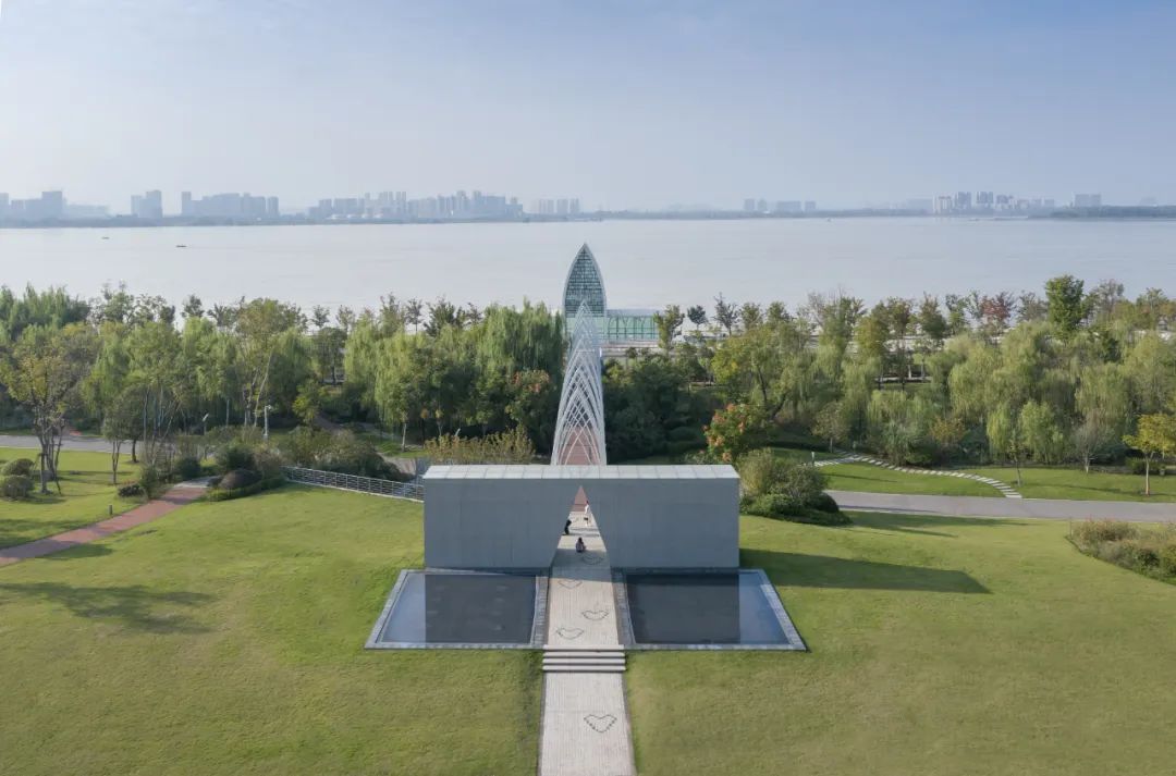 李涛：野生之外