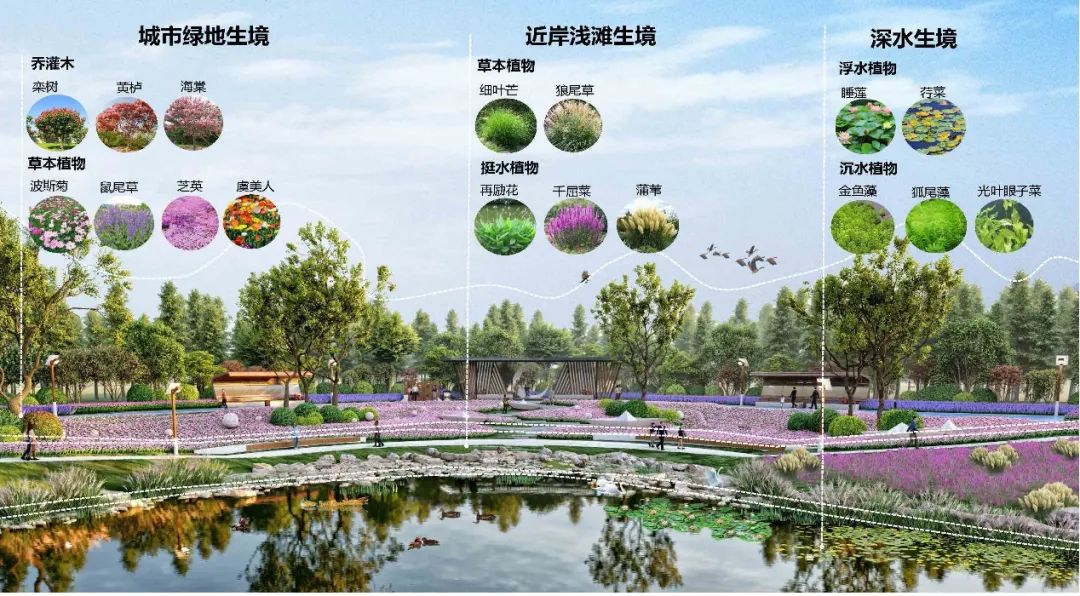 LA理事风采 | 潍坊中央商务区公园景观设计