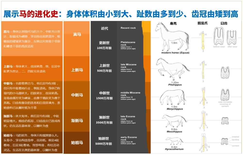 李忠观点丨赵北古长城文旅创新发展战略（上篇）
