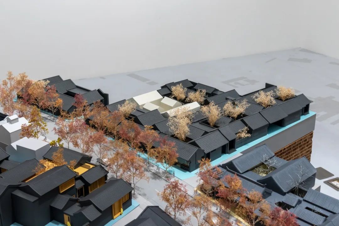 法原博物馆特展，现场直击「修复·西兴隆街2023」