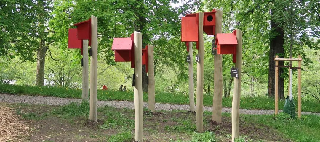 LA专集 | 万木葱翠,十里森境——森林公园规划设计探索