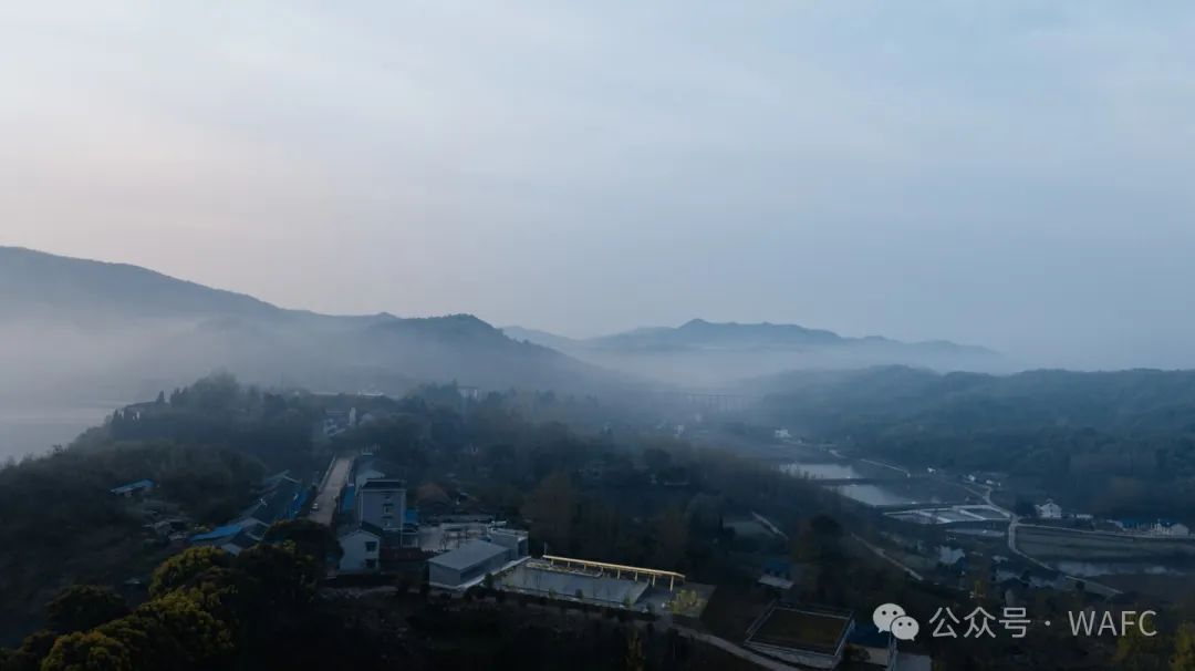 重磅！2024世界建筑节中国盛典获奖名单公布