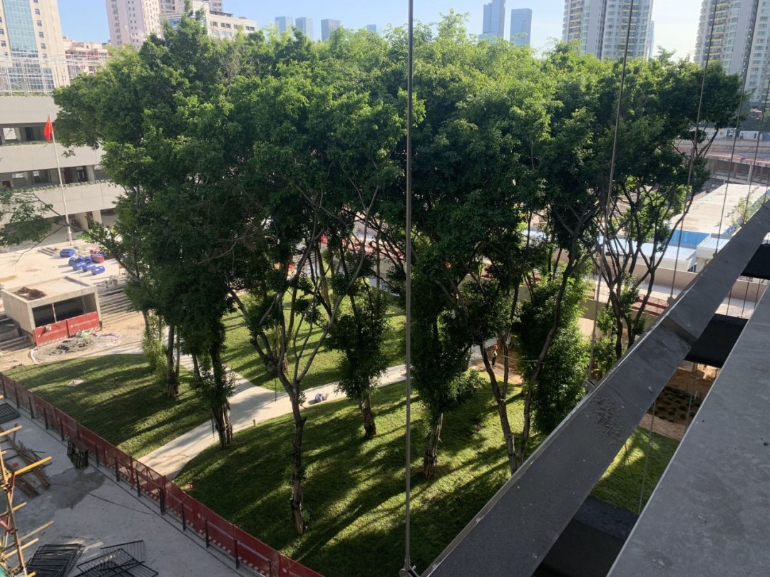 工务署大讲堂 | 董功：平凡之物的再生