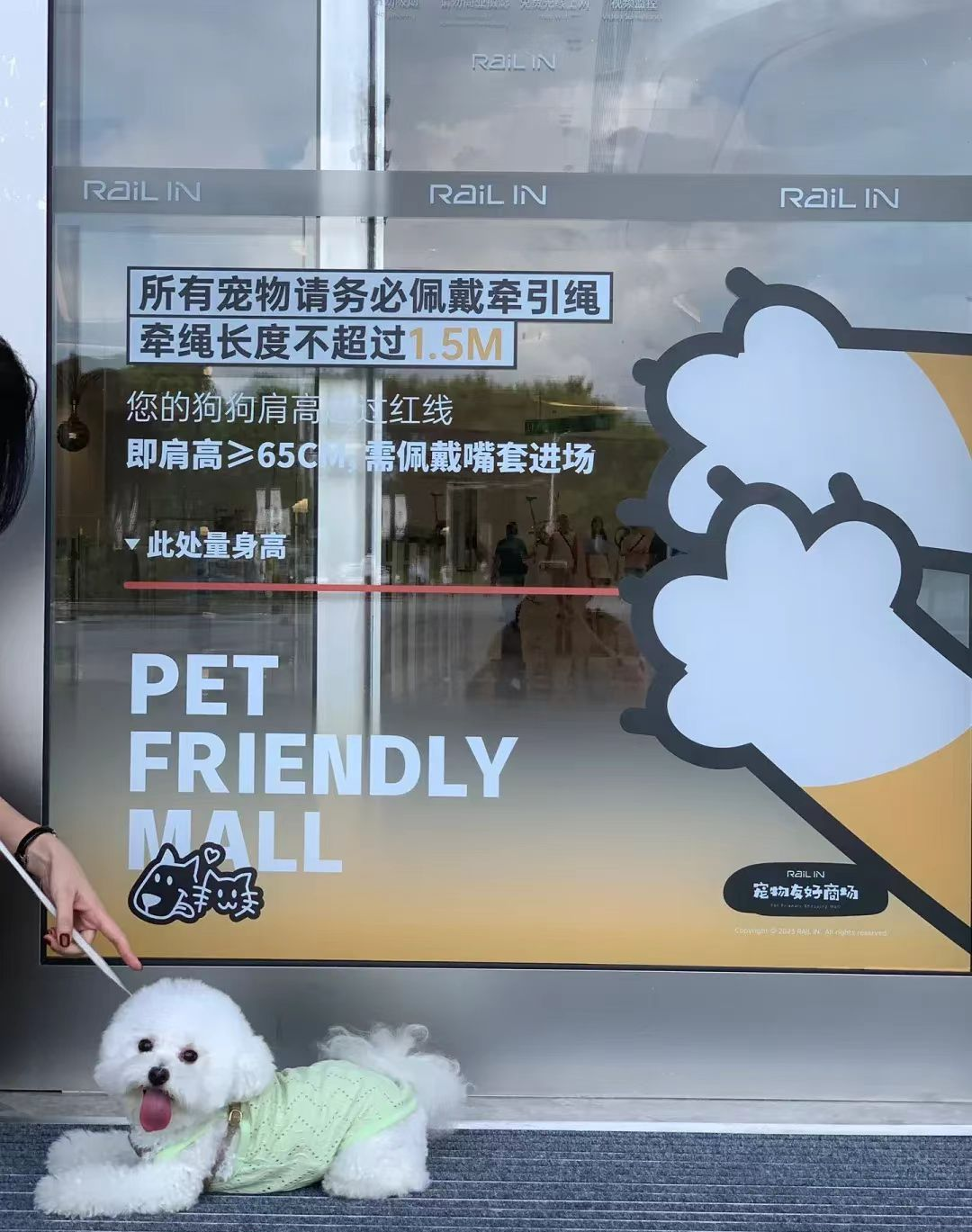 宠物友好商场：“它经济”下，城市商业生态的多样化探索