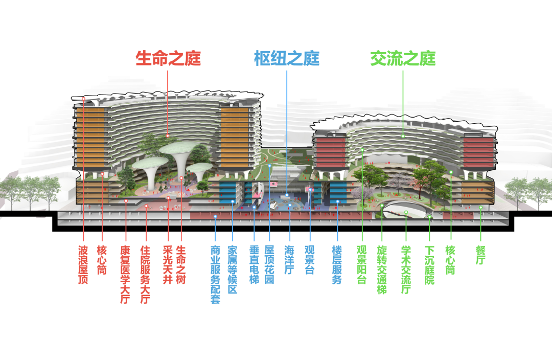 深圳市大鹏新区人民医院：依山面海的“生命之环”