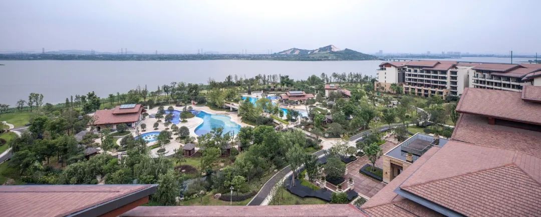 【建言丨对话凌克戈】一体化设计之路，适合与配合的统一