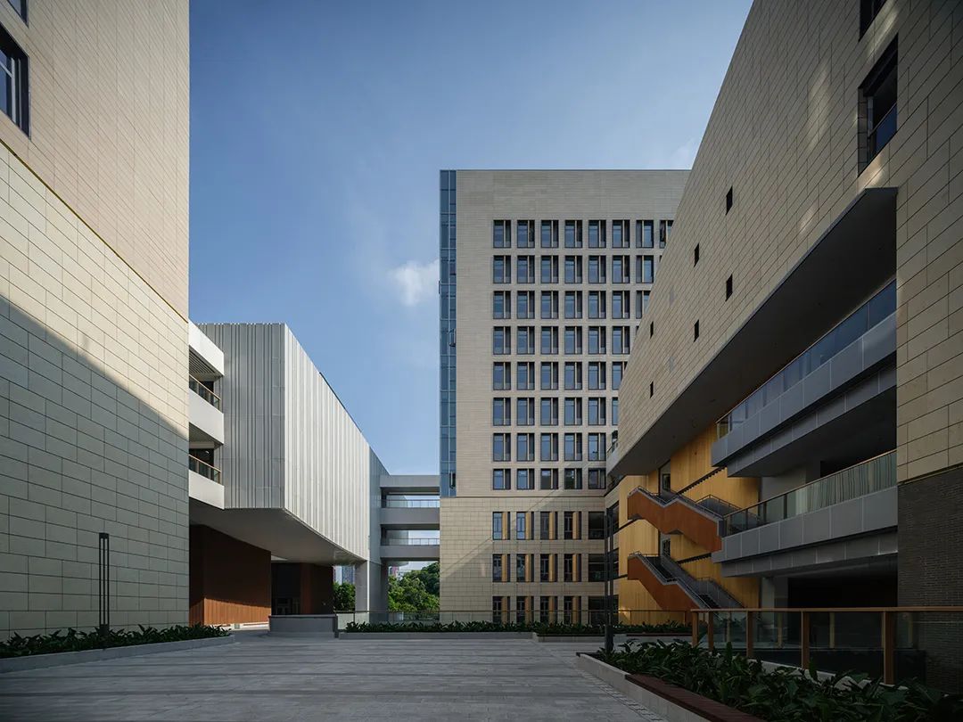 香港中文大学（深圳）二期丨山水林间，在地生长