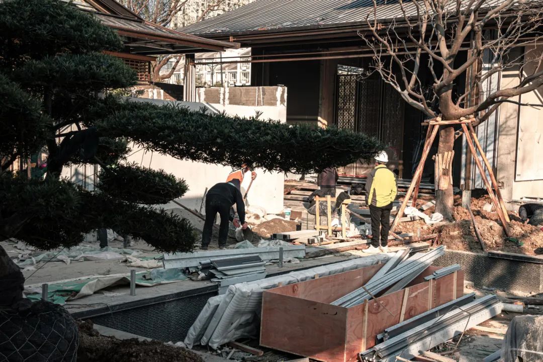 宋风之韵，淡雅之姿 | 台州建发·养云【致逸现场】 