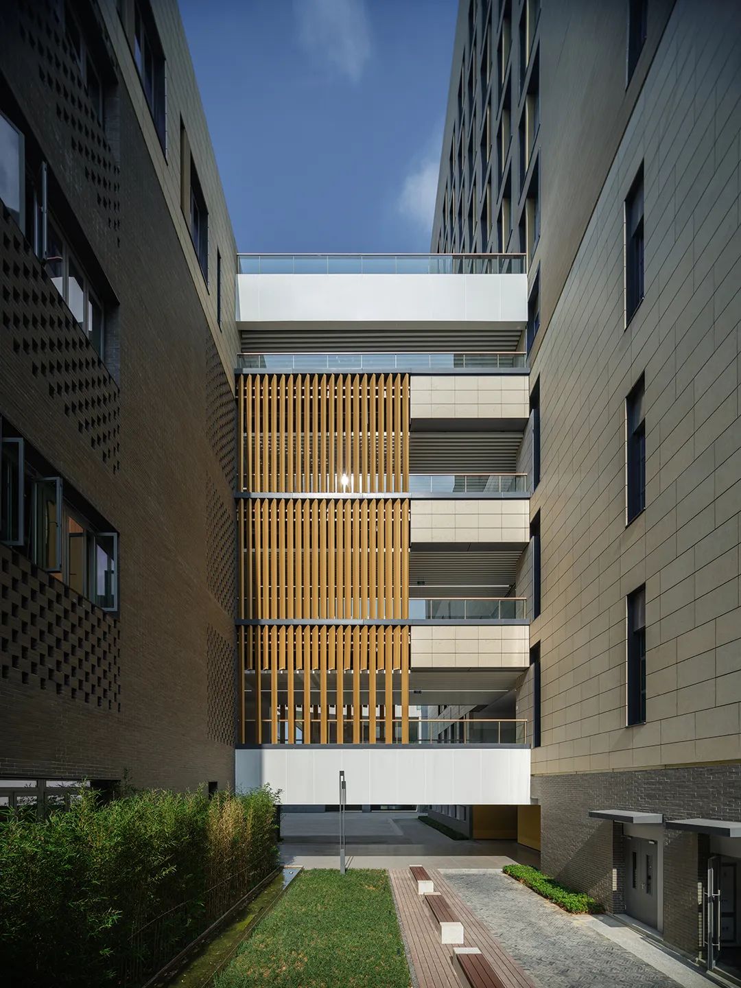 香港中文大学（深圳）二期丨山水林间，在地生长