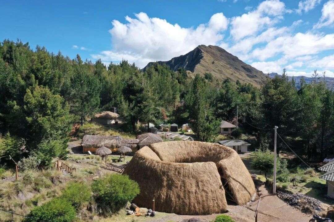 马岩松主编的domus 二月刊，感知自然