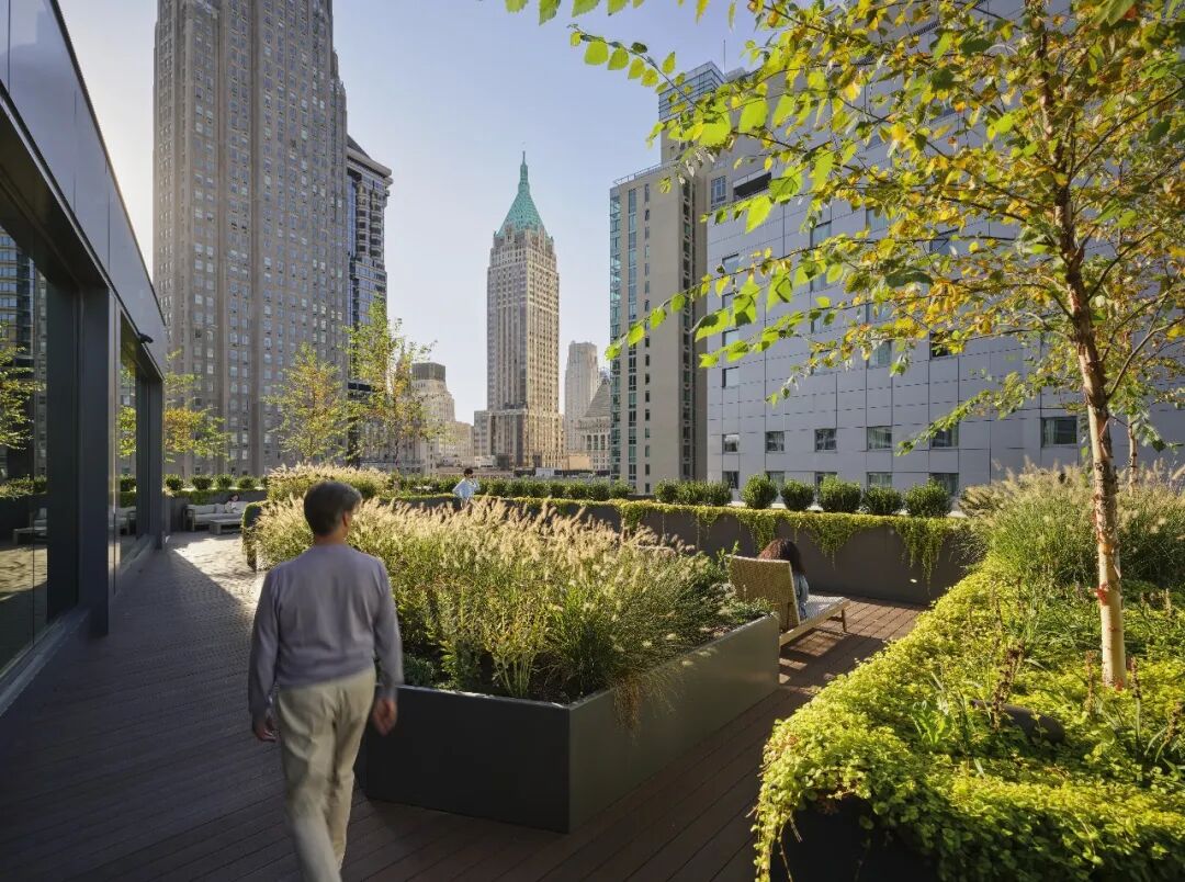 Pearl House: 从老旧办公楼到住宅典范的蜕变