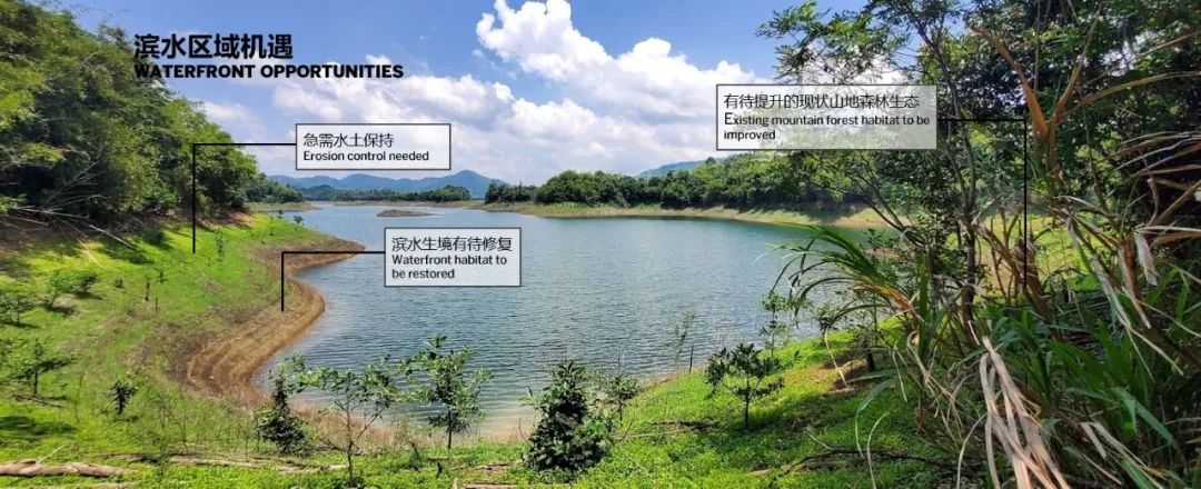 SOM 开放空间设计系列(二):何时?巨变下的多尺度开放空间实践探索