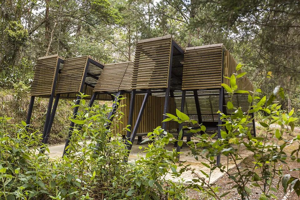 LA专集 | 万木葱翠,十里森境——森林公园规划设计探索