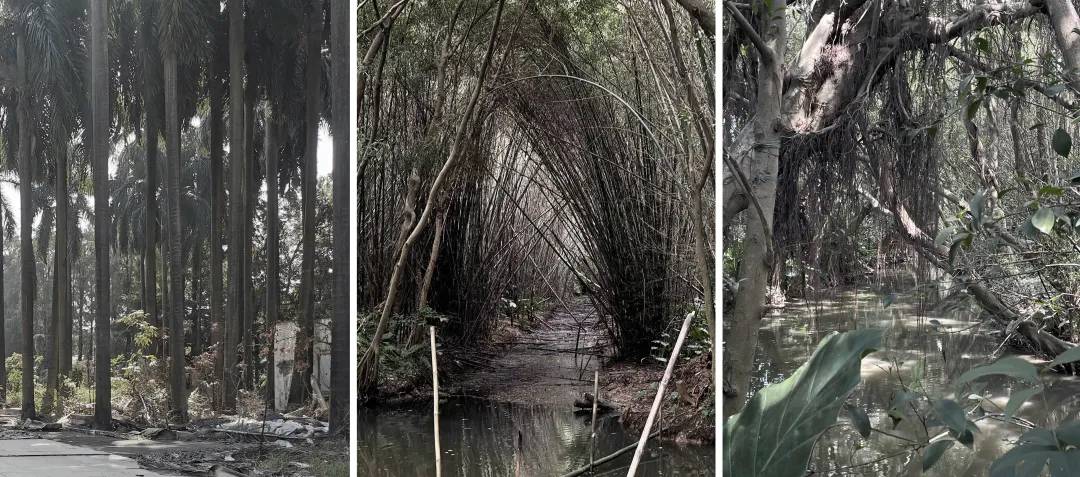 Link-Arc 新作 | 自然透视法: 顺德云鹭湿地博物馆