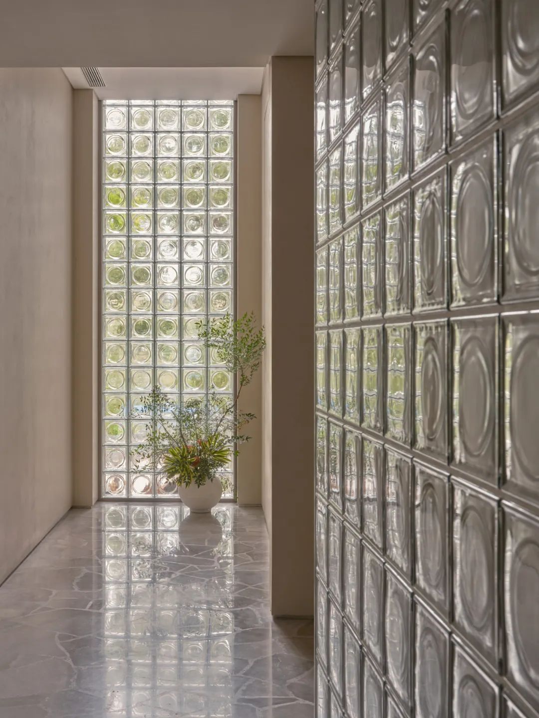 【建言丨对话王旎】建造承载生命轨迹的温暖容器