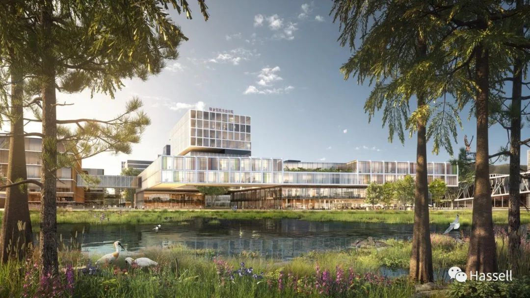 城邻近享 森水田居 &mdash;&mdash; 东台康养片区城市设计