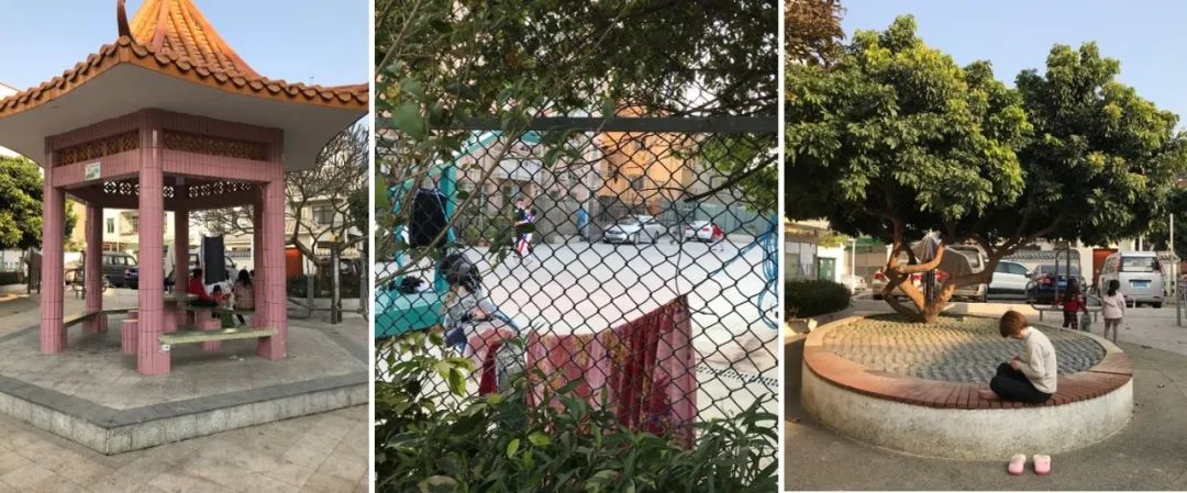 精准协助区级政府整体提升城市公共空间品质 | 蕾奥景观 | LA理事风采