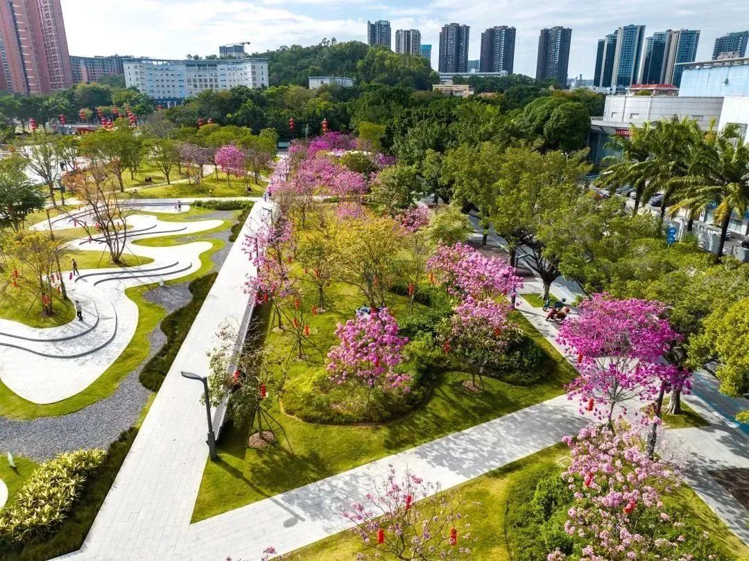 精准协助区级政府整体提升城市公共空间品质 | 蕾奥景观 | LA理事风采