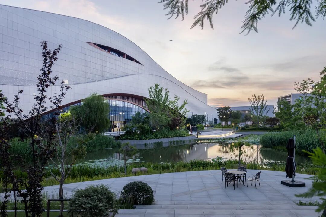 王大鹏:归于真实空间,重建人与人的联结