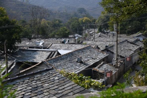 LA访谈 | 做最适合的设计&mdash;&mdash;北林地景孔宪琨副院长专访