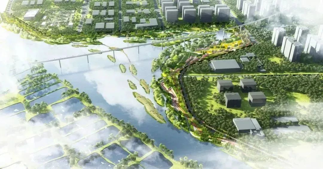 港车北上后，为什么中山东区火了？