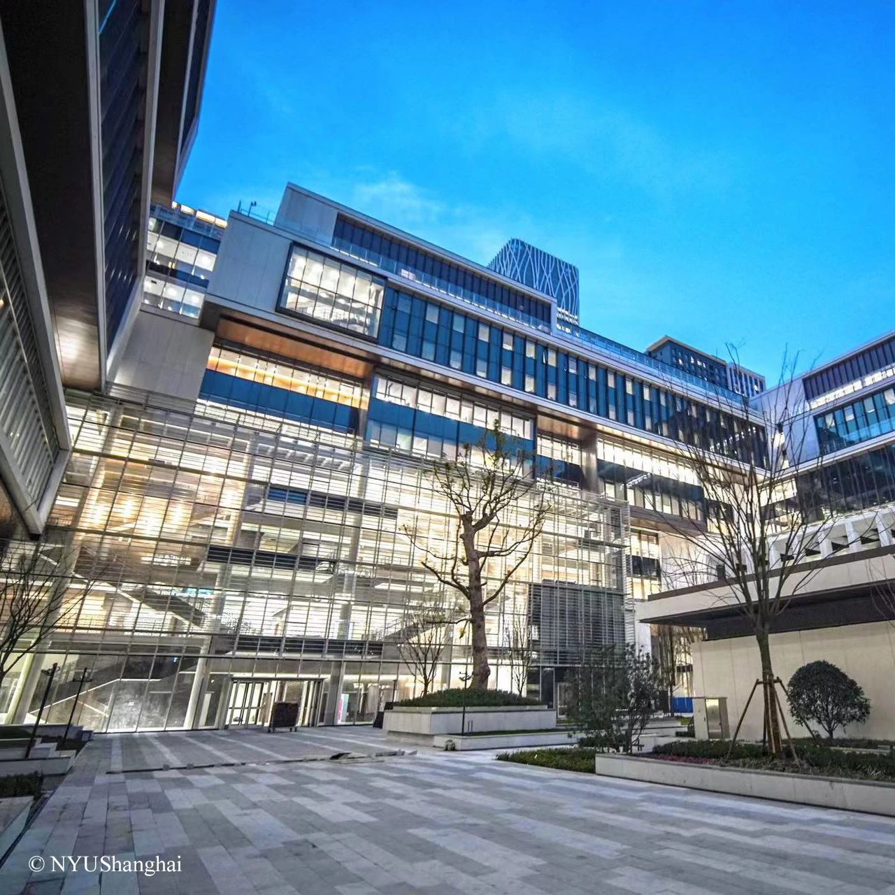 如何构建面向未来的绿色校园？让我们一同走进新落成的上海纽约大学前滩校园，一探究竟。前滩新校园总建筑面积约11.4万平方米，采用四栋建筑合围的布局形式，将现代建筑与古典庭院风格相结合。教研空间、图书馆、体育中心、艺术展演空间等丰富多样的设施，为师生提供了更多探索活动空间，促进跨文化、跨学科交流与合作，激发创新活力。作为项目可持续咨询顾问，奥雅纳利用数字化工具以及可持续发展领域的前瞻理念和策略，助力上海纽约大学打造一个绿色、低碳、健康、宜居的校园环境。我们就建筑物能耗、水耗、通风及采光照明等进行专项分析，并提供优化建议，以提升项目环境性能、实现更高的可持续目标。通过一系列可持续设计策略，包括区域冷热源、变频空调机组、新风热回收、按需通风、日光感应照明灯具及雨水系统等，校园实现了最大限度的节能减排。我们对项目进行了能耗模拟，结果显示相较于美国强制性节能标准（ASHRAE90.1），该项目每年可节约8%的能耗费用。在推动实现“双碳”目标方面，建筑行业肩负着重要的职责和使命。根据联合国环境规划署的数据，建筑材料制造占全球温室气体排放总量的11% 。针对隐含碳排放，我们亦为校园进行了结构和外围护结构全生命周期分析。根据BIM系统的材料数据及结构优化报告分析数据显示，该项目在全球变暖潜能值（温室气体）、平流层臭氧层消耗、土地和水资源酸化等分项上均有超过10%的减量，切实减少了环境负担。凭借绿色、低碳的规划和设计，上海纽约大学于今年获得“上海市绿色学校”殊荣，为未来可持续校园树立了典范。我们期待上纽大以崭新面貌继续前行，发挥国际化大学在教育和文化方面的辐射作用，为城市发展注入新活力！