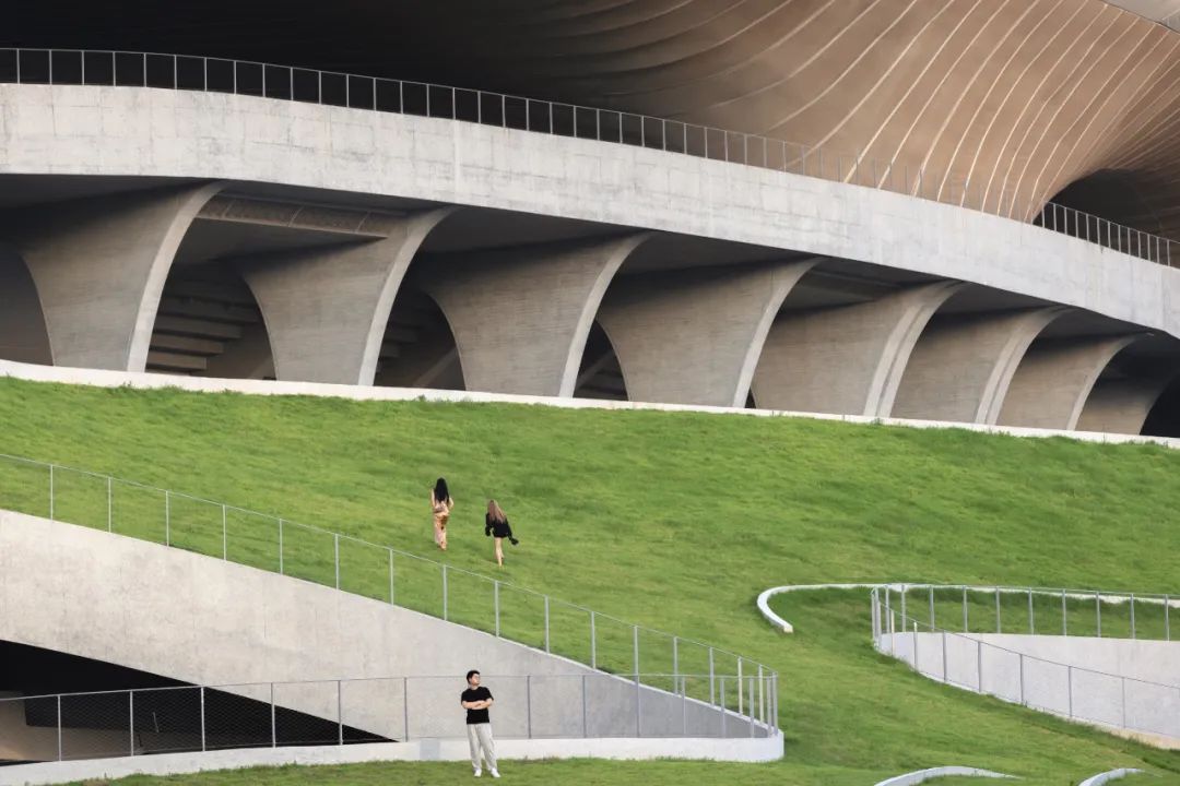 “消失的体育场”建成,马岩松/MAD全球最大覆土建筑群设计