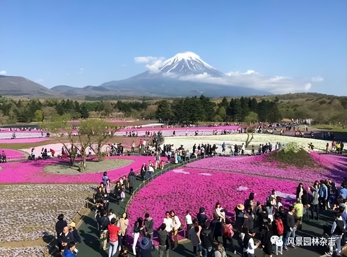 精彩压轴 | 日本景观如何走向自然与健康